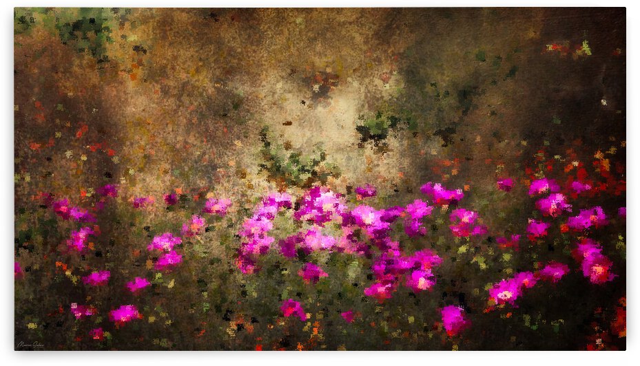 Violet Cactus Abstract digital art photography I by Marco Sales