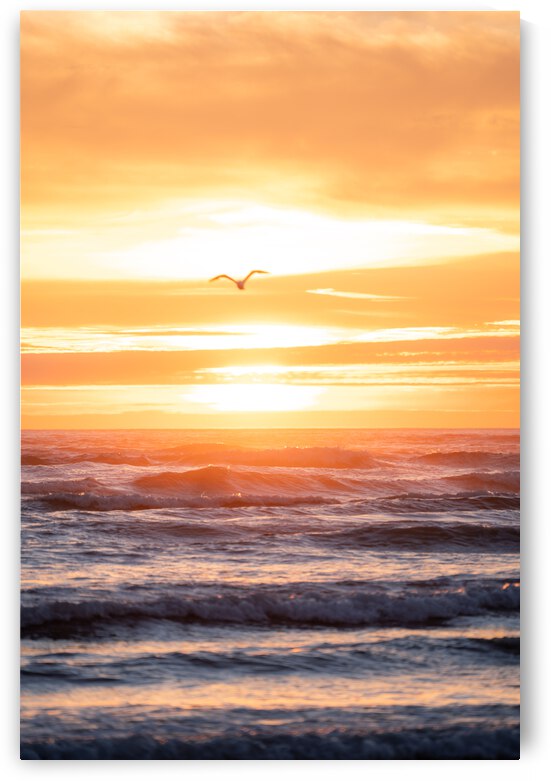 Sunset Waves by Noah Lang