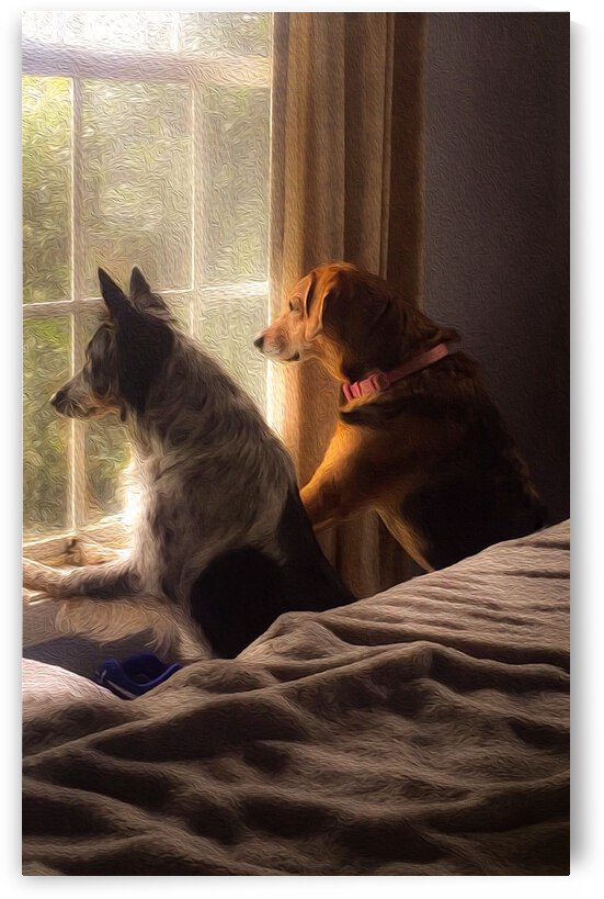 Daddy is Home by Shelia Hunt Photography