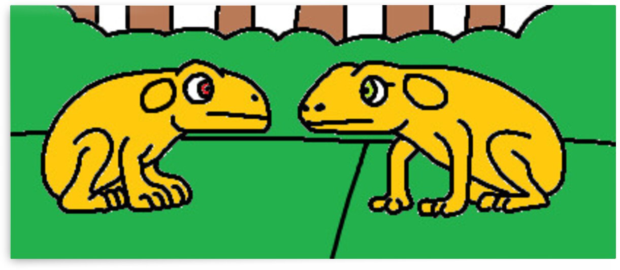 a male and female golden toad great each other by Liam Frew