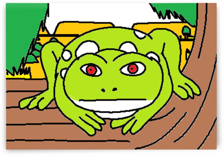 an australian green tree frog in the australian outback by Liam Frew
