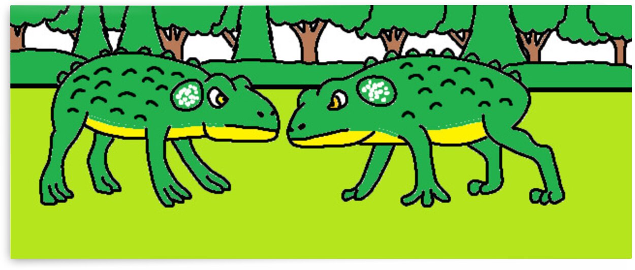 two male common toads do threat displays by Liam Frew