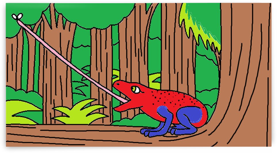 a strawberry poison dart frog catches a fly by Liam Frew