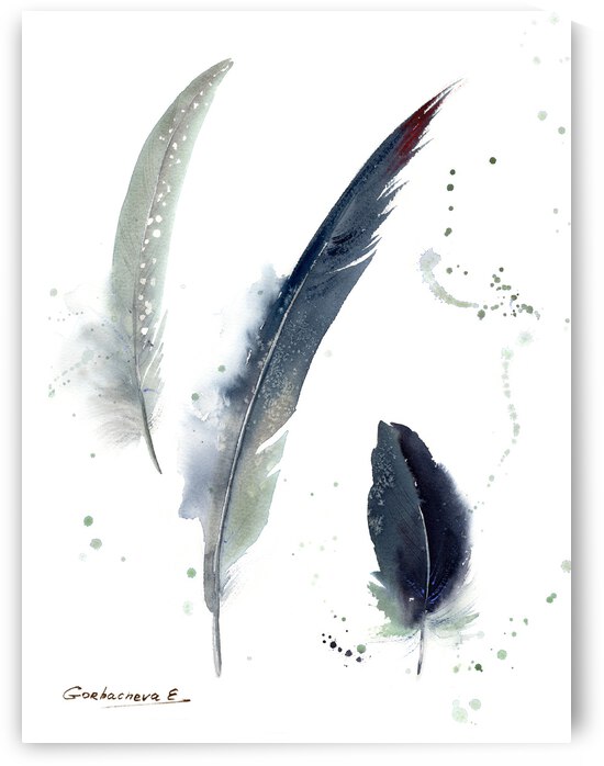 Gray Crowned-Crane feathers by Eugenia Gorbacheva