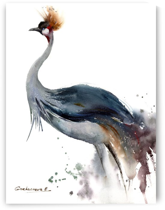 Gray Crowned-Crane by Eugenia Gorbacheva