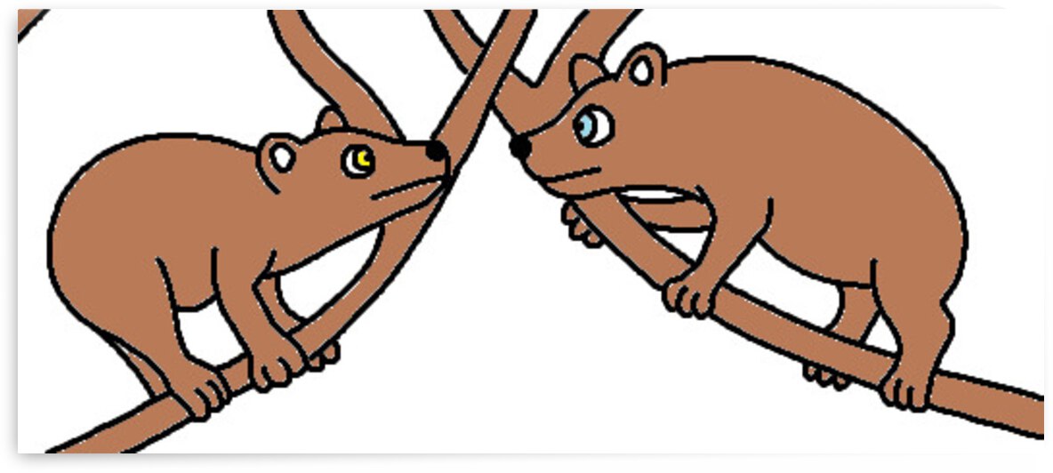 two male tree hyraxes greet each other by Liam Frew