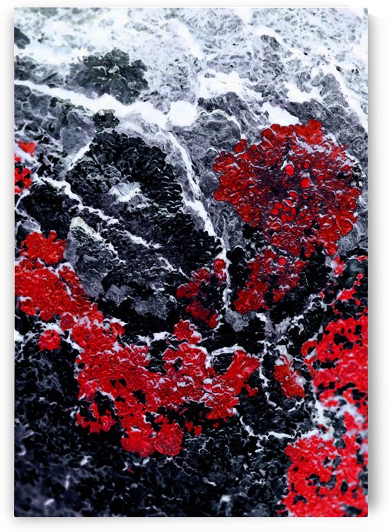 Red Cliff by Edouard Coleman