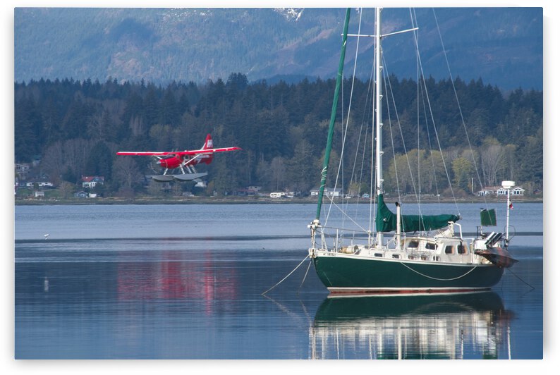 The Morning Landing by CRB Images Photography
