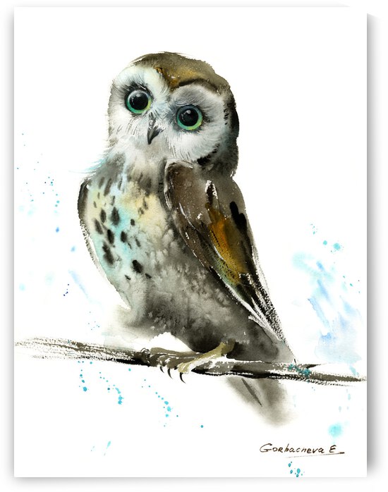 Owl on a branch by Eugenia Gorbacheva