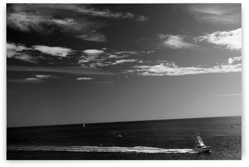 BW Cruising Speed in the Golden Hour 2 of 3 ZOOM The Sailfish Tournament and Derby Collection Singer Island West Palm Beach Florida by 360 Studios