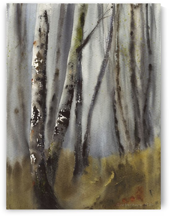Birch Grove by Eugenia Gorbacheva