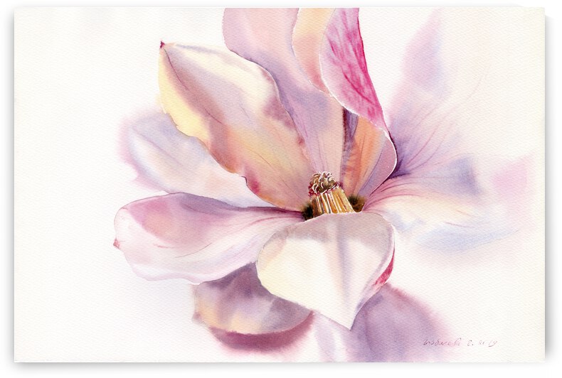 Magnolia flower by Eugenia Gorbacheva