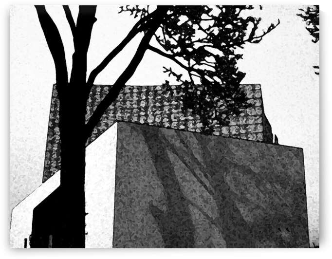 Shadowplay by Lisa Drew