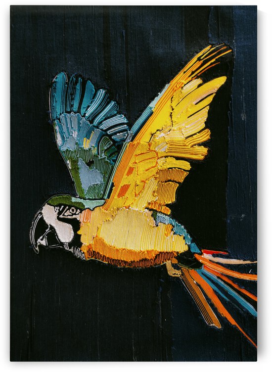 Blue and Yellow Macaw by Valeda Williams