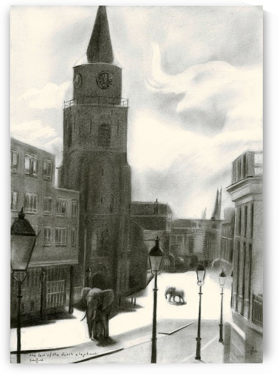 The last of the dutch elephants - 12-05-16 by Corné Akkers