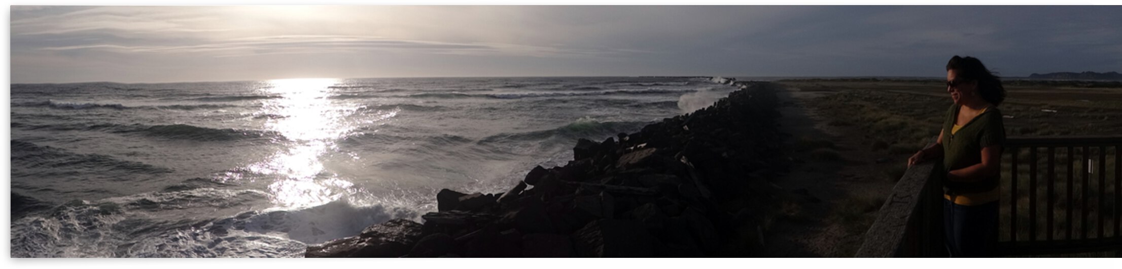 Oceanic Longing by E R Miller