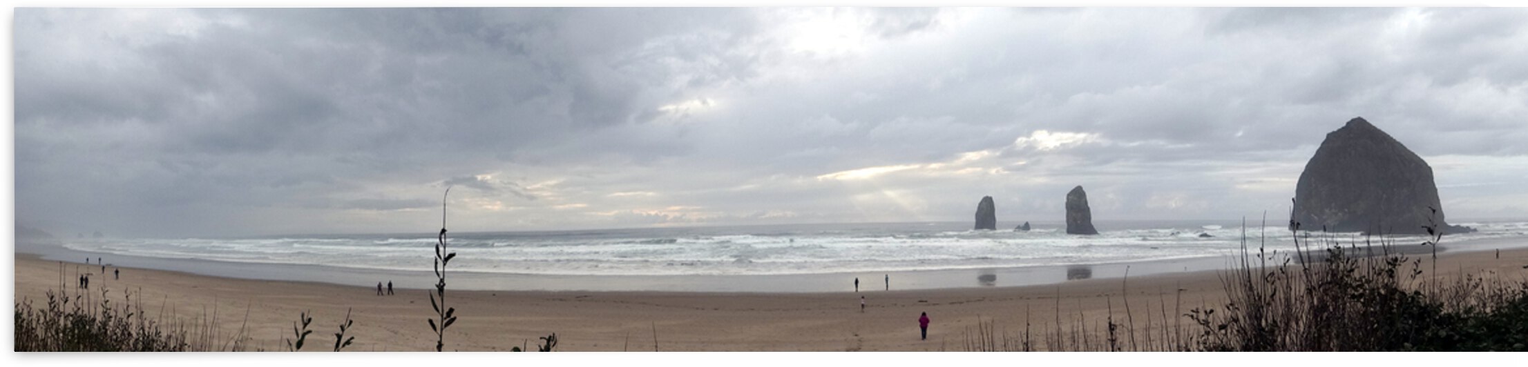 Cannon Beach - Haystack Rock with Grass by E R Miller