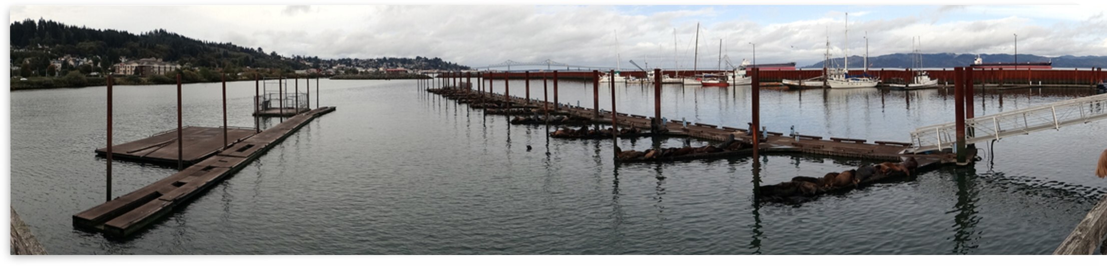 Astoria Docks and Sea Lions by E R Miller