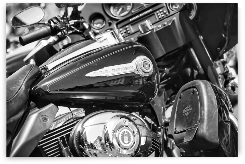 Harley Fuell Tank and Cockpit by Stefano Senise Photography