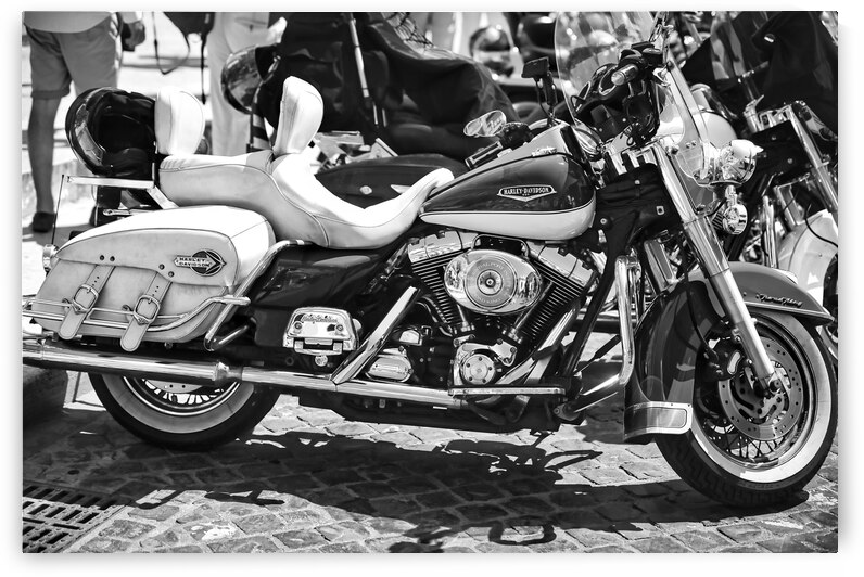 Road King - Harley-Davidson 110TH Anniversary in Vatican - Rome Italy by Stefano Senise Photography