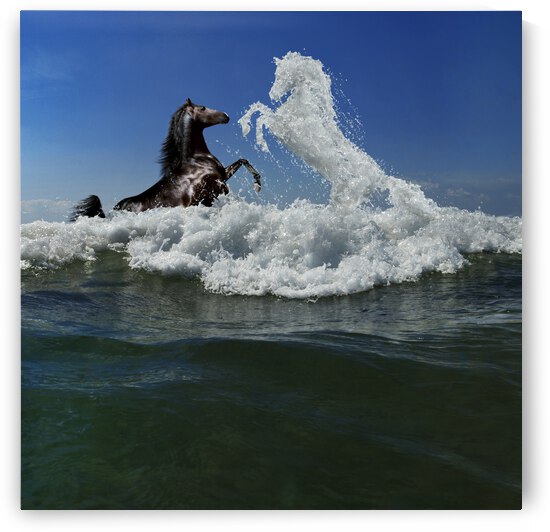 struggle of the elements by StanOd