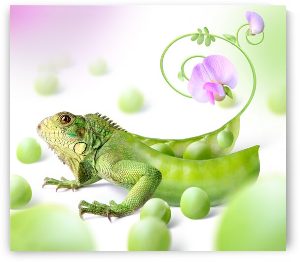 green dragon by StanOd