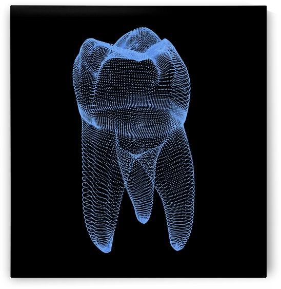 Molar tooth from dots 3D illustration by Alex Mit