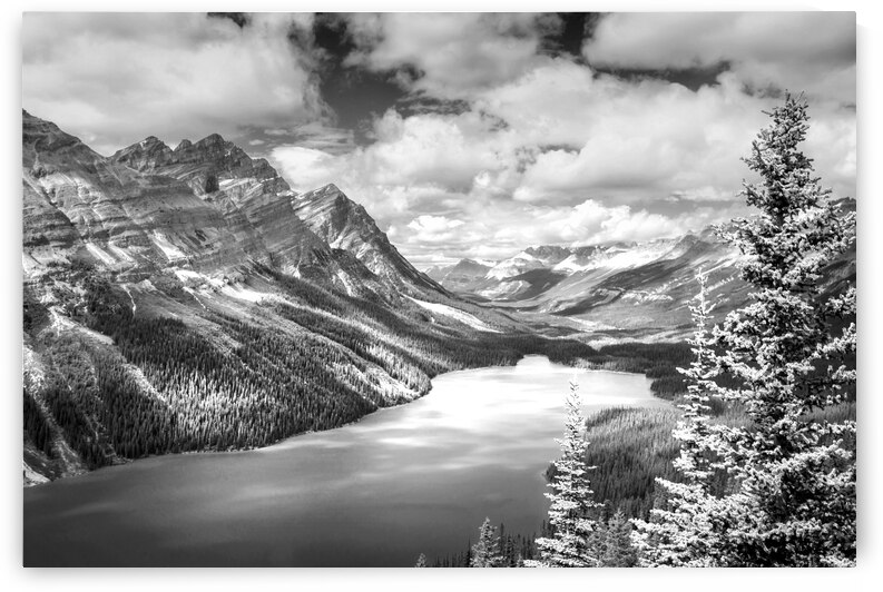 Peyto lake Banff National Park by DELPHIMAGES