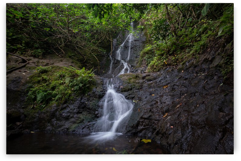 Tropical Hawaii Waterfall by Noah Lang