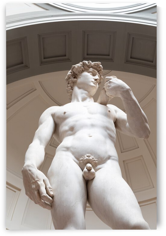 David sculpture by Michelangelo Buonarroti - 1501. The masterpiece of the Renaissance Art by Paolo Modena