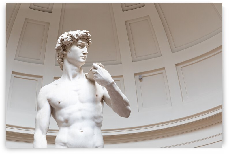 David sculpture by Michelangelo Buonarroti - 1501. The masterpiece of the Renaissance Art by Paolo Modena