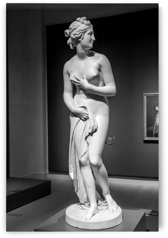 Venus by Antonio Canova by Paolo Modena