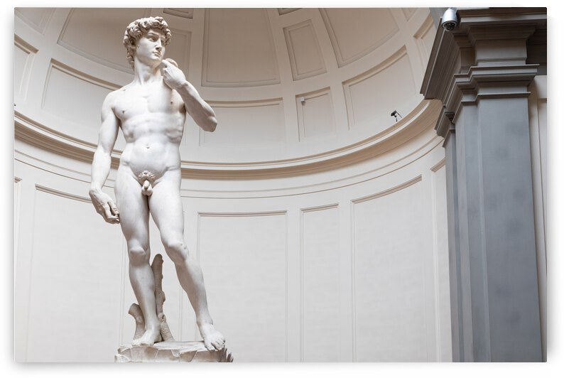 David sculpture by Michelangelo Buonarroti - 1501 by Paolo Modena