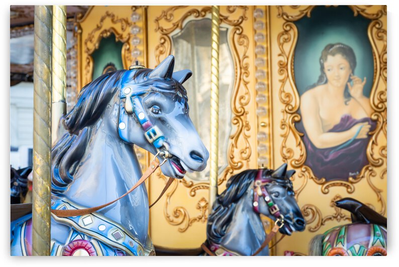 Vintage carousel horse - antique attraction by Paolo Modena