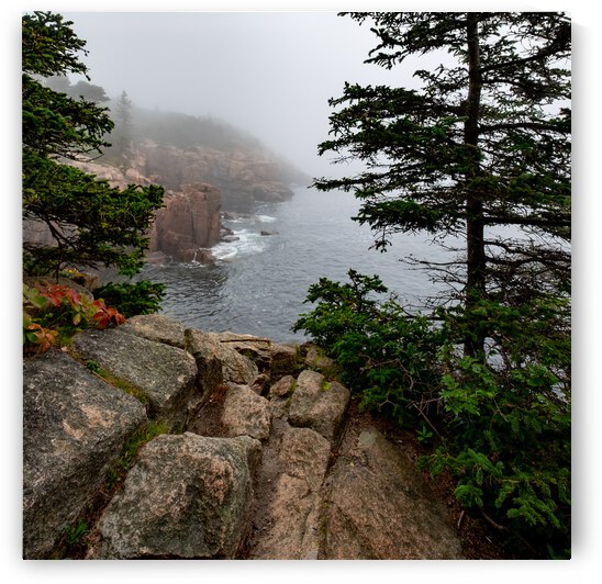 Acadia 2 by Dave Therrien