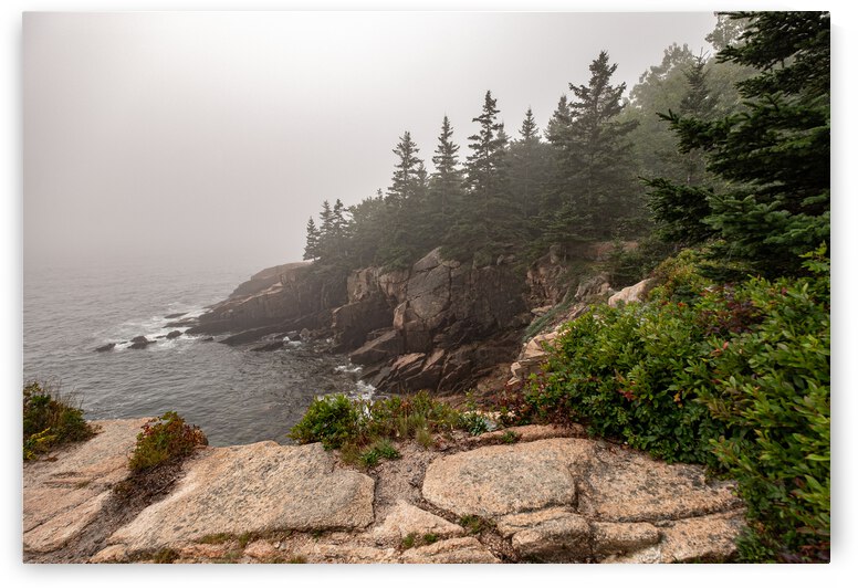 Acadia 4 by Dave Therrien