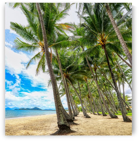 Palm Cove  by MrSmithPhotography