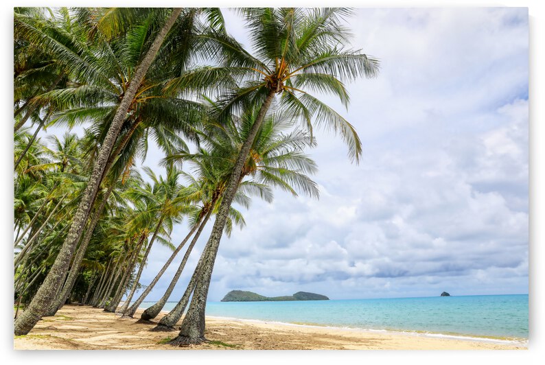 Palm Cove 2 by MrSmithPhotography