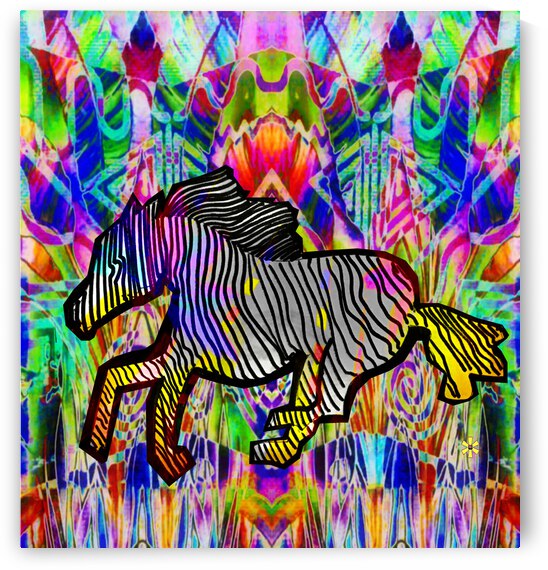 FLYING ZEBRA by desetoiles10