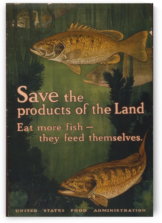 Save the fish by VINTAGE POSTER