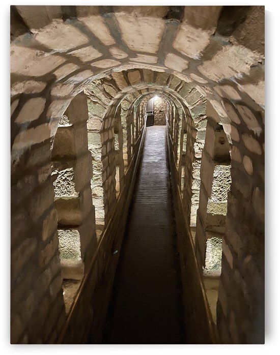 67A6056C 396A 4525 A549 736CEDDCB009 by erin insalaco