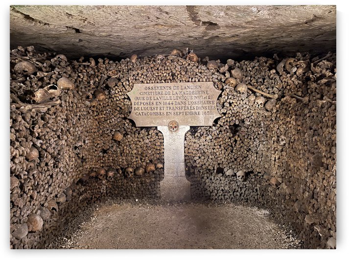 8FB5FE2C D77E 4750 B0BF 48DF264815C0 by erin insalaco