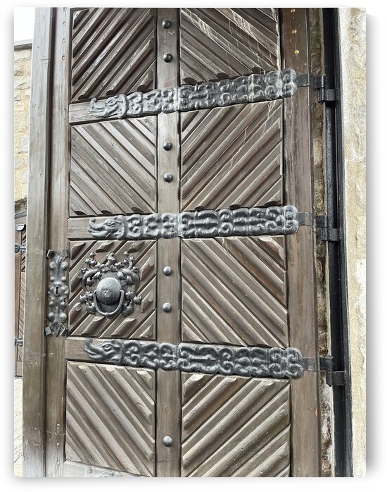 076913C9 E083 41AE B29A FC8DEA47E191 by erin insalaco