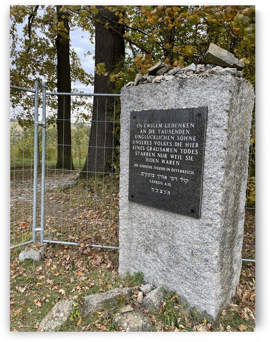 2BE03DA7 48E2 4617 9203 5B24AE5CC2E2 by erin insalaco