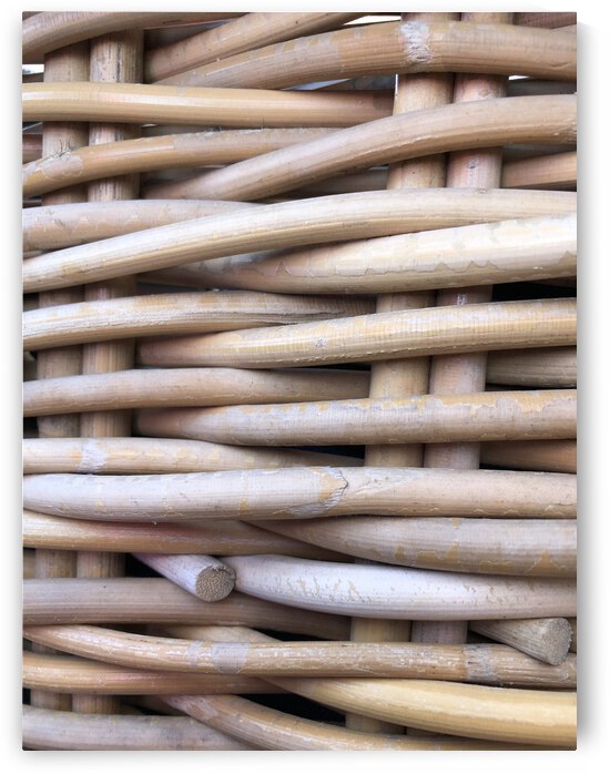 398739AB 84A0 4128 BB16 B4385DE17700 by erin insalaco