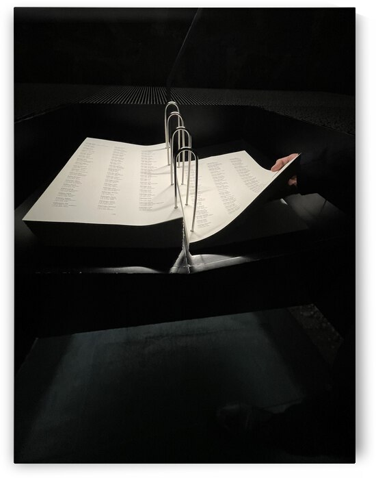 CAA9AAAA 71F6 4572 B0B1 AAD53C066C72 by erin insalaco