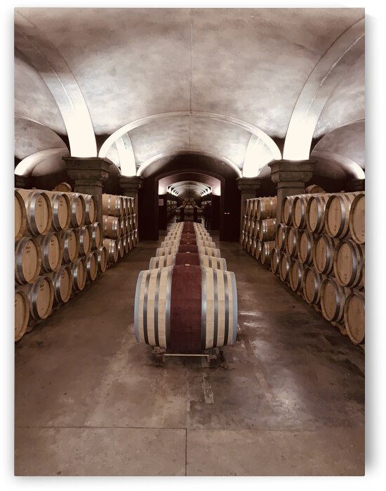 9F00231A 7A8C 4510 9462 445A96A9B93A by erin insalaco