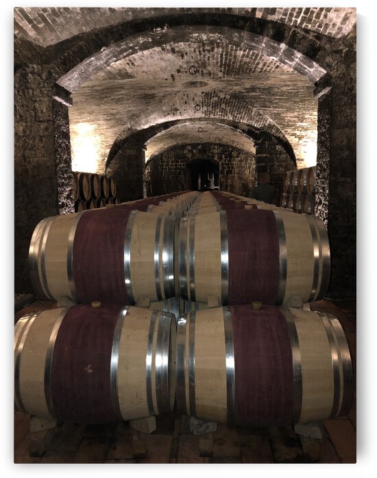 F021B21F 779E 4095 8607 8AAA0501D658 by erin insalaco