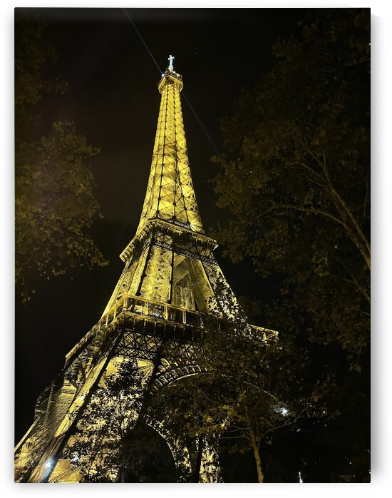 9CCEC98E E43D 4513 A7AB A90F3199DA62 by erin insalaco