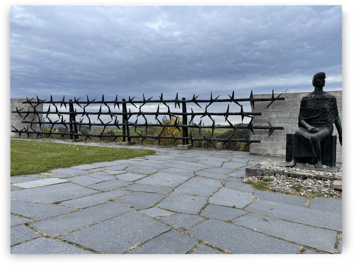 E65C0873 D25F 4568 9896 92177994B156 by erin insalaco